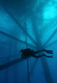 Diving working oil platform in the Gulf of Mexico.....
