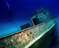 David Tucker wreck.  Went on a quickie weekend cruise with parents.  We were in Nassau for a few hours.  Went with Stuart Cove's scuba on two-tank dive. Only managed to get a few shots.  This is one of them.  Used Nikonos V, 15mm, with two SB-105's.