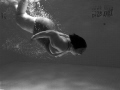 The Swimmer
