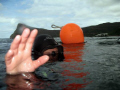 Diver at the surface