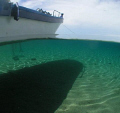 This photo was taken in 2007, Ambom, Indonesia. Between the dives, we had a rest on the sand beach, the surface is smooth, we can see not only shadow of the boat but also the water mark on the sand and the color of water becomes to green and blue.