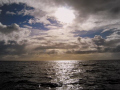 Middle of False Bay, South Africa, early morning