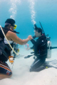 We learn the skills, we learn to dive! Nikon D80 + Sigma 15mm + Magic filter