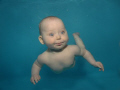Waterbaby Beauty, Photographing a baby underwater is a amazing experience. You have about 2 seconds to capture the shot. The babies need about 10 weeks of underwater training before you can assess them ready.