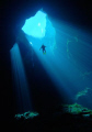 Skydiver. A diver suspended in the clear waters of an Australian Sinkhole.