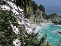 Julia Pfeiffer Burns State Park. Big Sur California.