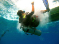 My dive buddy dropping in to meet me.  I used my Canon A650IS in wide angle mode in ambient light.  Sometimes it can be more interesting waiting for your dive buddy slightly below the surface.