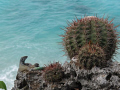 Taken at 1000 Steps in Bonaire using Canon G10
