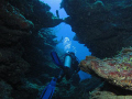 Hol Chan reef