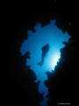 The Canyon in Dahab with the Dive Guide finning backwards and forwards to get this shot!  Taken with a Canon Ixus 980 and an Inon Fisheye Lens.