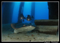 My friends Evelio and Eduardo behind a stingray.
