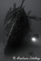 The Fearless being explored by a diver