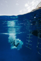 Diver taking the plunge from a liveaboard vessel. Red Sea. Egypt.