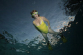 SNORKELING AT DAWN AT THE GROTTO, SAIPAN.