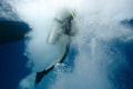 Bubbles surroundnig a diver after entering the water from a boat.
Taken on a liveaboard trip in the Red Sea.