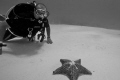 Miguel checking out a starfish.   Shot using Canon 20D with EFS 10-22mm lens at 10mm, 1/80, f/16, 10mm focal length