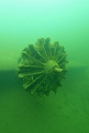 Motor of JU 52, old german aircraft used in ww2