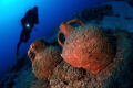 I took this photo @ Bodrum, Barracuda Bay.