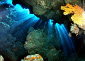 I entered a coral cave and it opened up into a glorius cavern steaming with the mid days sun. I couln't wait to start shooting with my new D90 and fish eye 10-17 lens