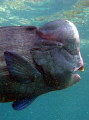 Caught this guy eye balling me!!! Canon G 10