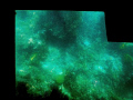 Corals throough the Bottom of a Glass-Bottomed Boat.

This image is of brain coral and other corals taken through the bottom of a glass bottomed boat. The railings of the boat are the black portions of the photo.