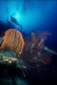 Shot of Kodachrome 64 using a Nikonos V, 15 mm lens, and an Ikelite SS 400
