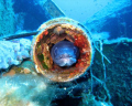 A picture of a conger that used to live a in tube from a ship reck.
Smiled to me and I shuted  the picture