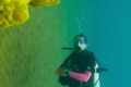Kristen diving Makena Beach.  The disoriented pose of the image was unintentional, but when I saw how it looked like this I couldn't resist a little photo shop tweak.  (Please look at the full size version for intended effect)