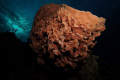 Large Barrel Sponge shot from underneath with a Nikon D700 with Ikelite housing and strobe flash. Shutter speed 1/60 at f 22.0 with an ISO speed of 200. Focal length of 17.0mm

Dive was on Conception Island, Bahamas.