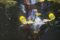 Just before the dive