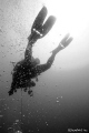 B&W Diver
www.h2o.org.il