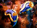 A colorful pair of nudi's.