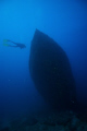 Visiting KWARCIT (AKA BORIS) Wreck @ Sal Is.