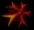 Sea urchin... looked like it was filled with lava!