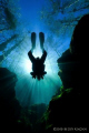 Taken in the clear freshwater Florida springs!