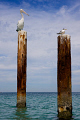 Pylons
