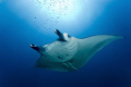 Malediven 
Dive place 