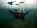 Ice diving