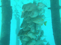 Just keep swimming,swimming,swimming.