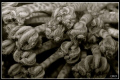 Black and White image of soft coral closed, Similan Islands.