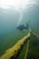 Diver in fresh water