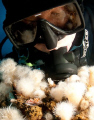 My buddy checks out a nudibranch while diving an oil rig off the coast of Southern California.