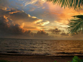 Beautiful day to dive... These wonderful sunrises greeted us every morning of our dive day.