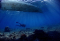 A diver passing under a boat