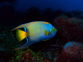 Cozumel, Mexico
