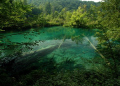 just,pure water