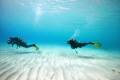 For a while,we had to swim to deeper water, and I found my buddy's  swimming after another, almost identical,it looked funny. This picture was taken without flash, at a depth of 3 m.