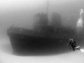 The tug boat 