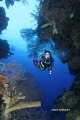 Wall Diving the East End of Grand Cayman is a photographer's paradise...