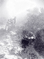 The subject was my dive buddy swimming away from me amid reef covered by sea fans and sea rods.